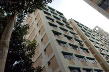 Blk 202 Petir Road (Bukit Panjang), HDB 5 Rooms #212902